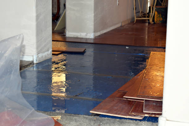 Professional Flood Cleanup technician working in Mindoro, WI